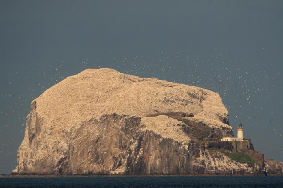 Bass Rock